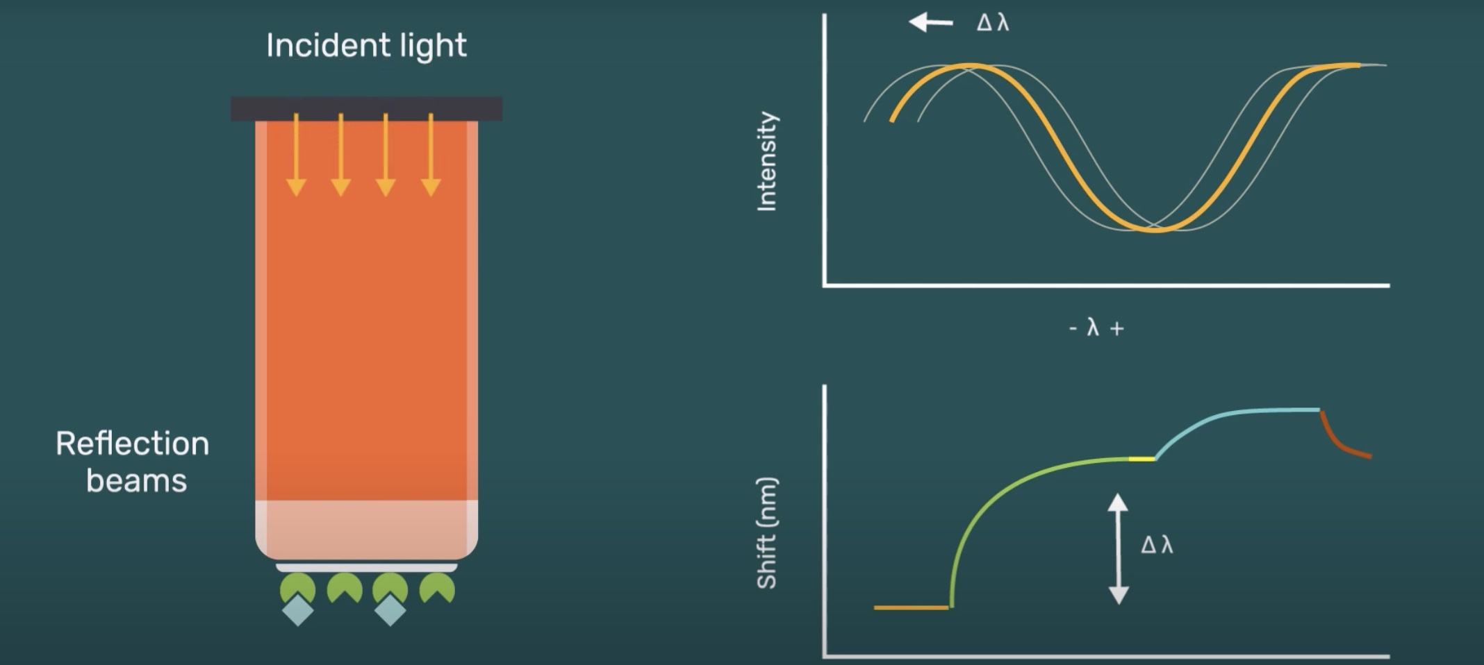 Gator bio biolayer interferometry