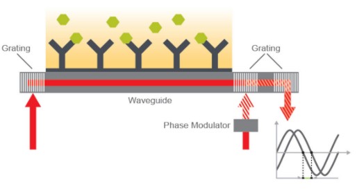 Creoptix WAVEsystem