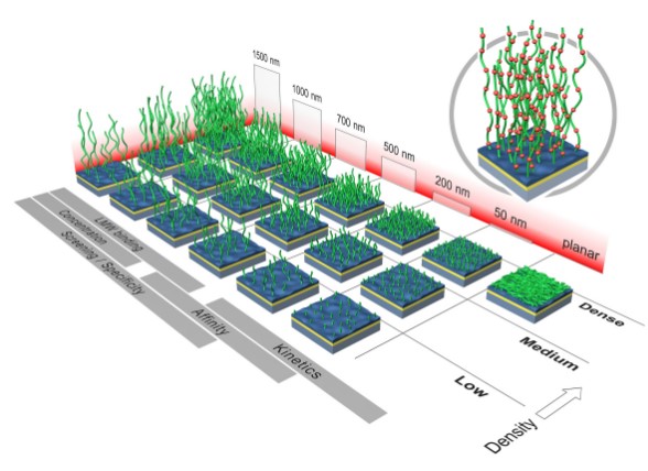 Illustration of the XanTec SPR platform