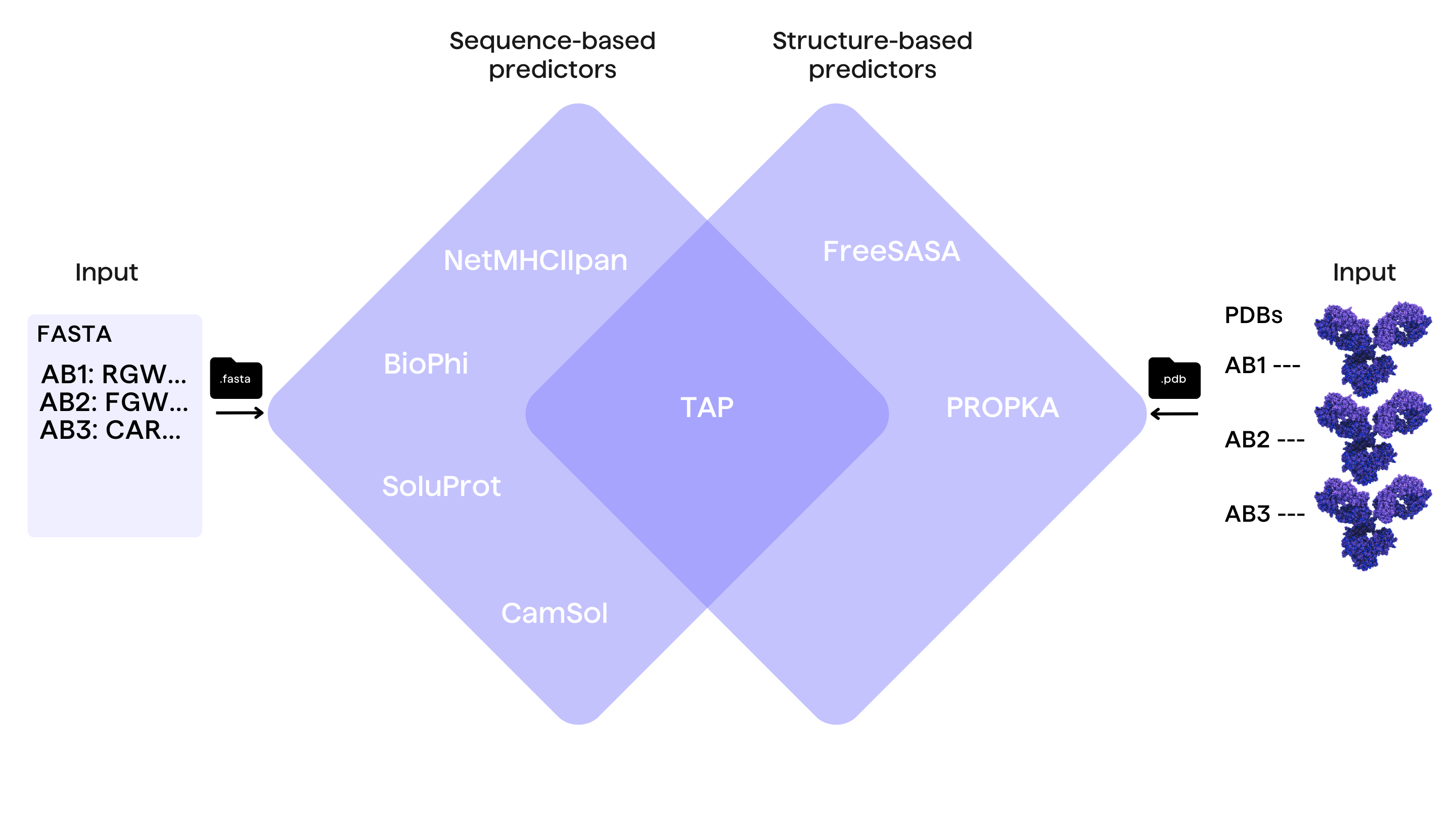 Structure- and sequence-based antibody developability prediction tools: NetMHCIIpan, BioPhi, SoluProt, CamSol, FreeSASA, PROPKA and TAP in a venn diagram with FASTA and PDB file inputs illustrated