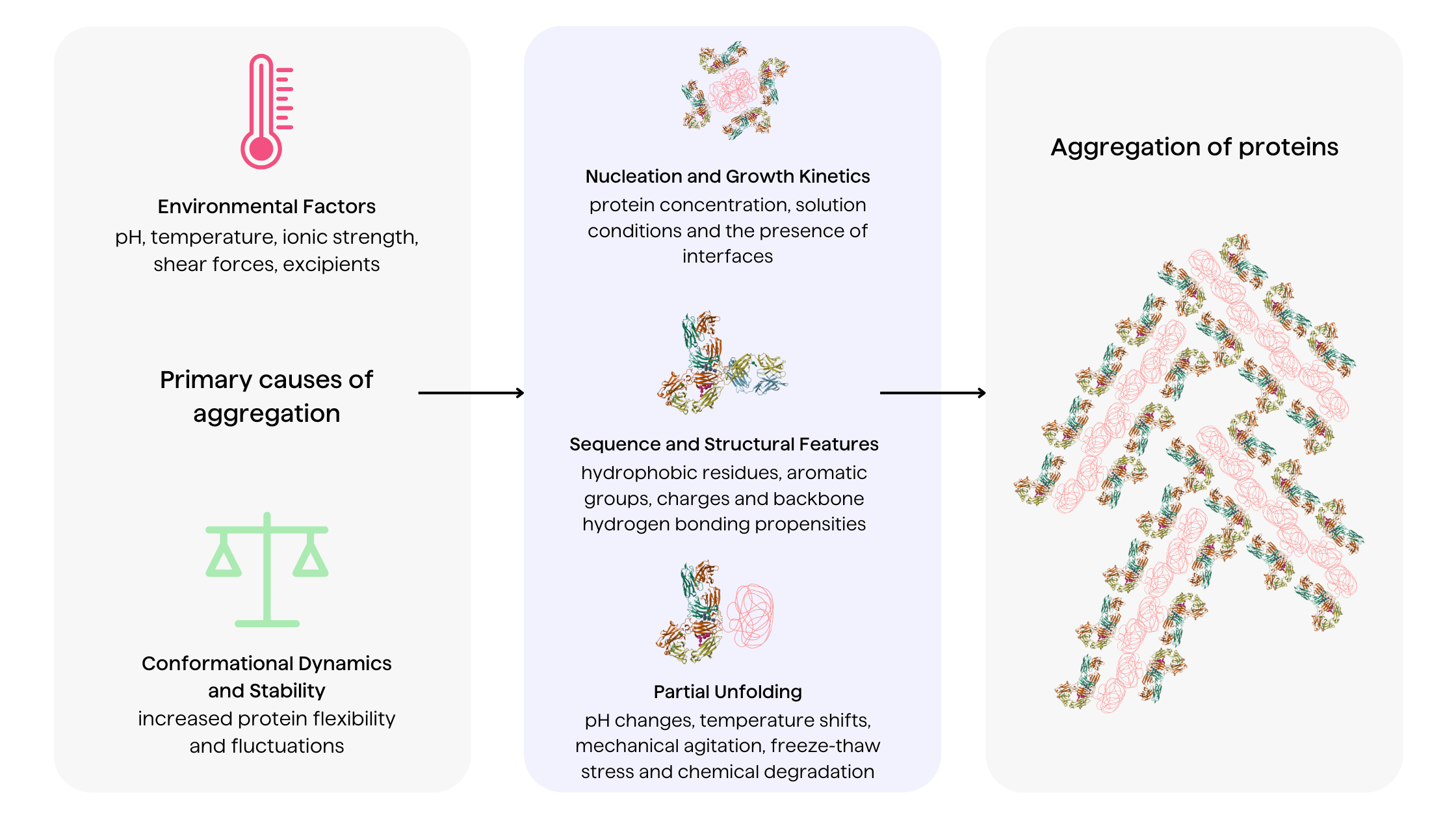 A figure of drivers of protein aggregation, including environmental factors, conformational dynamics and stability leading to nucleation, change of structural features and partial unfolding.