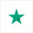 Dribbble Services Icon