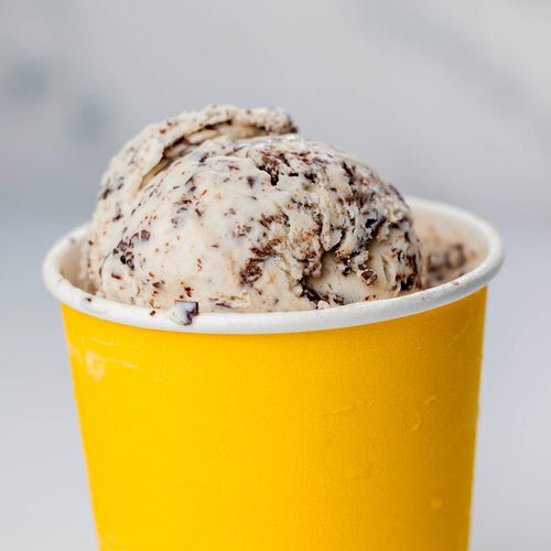 Vanilla Chip Ice Cream