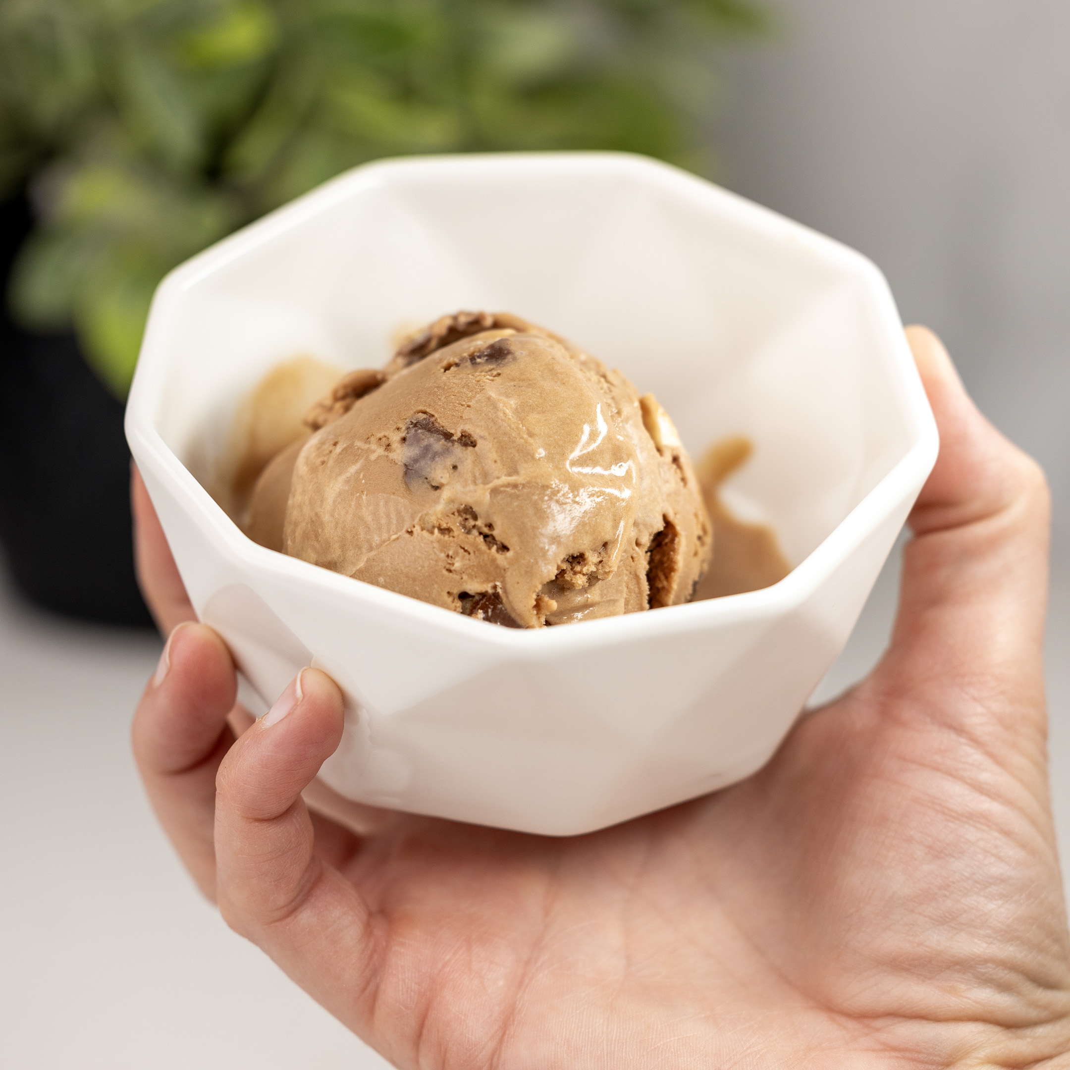Chocolate Malt Ice Cream