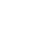 Ballot Icon