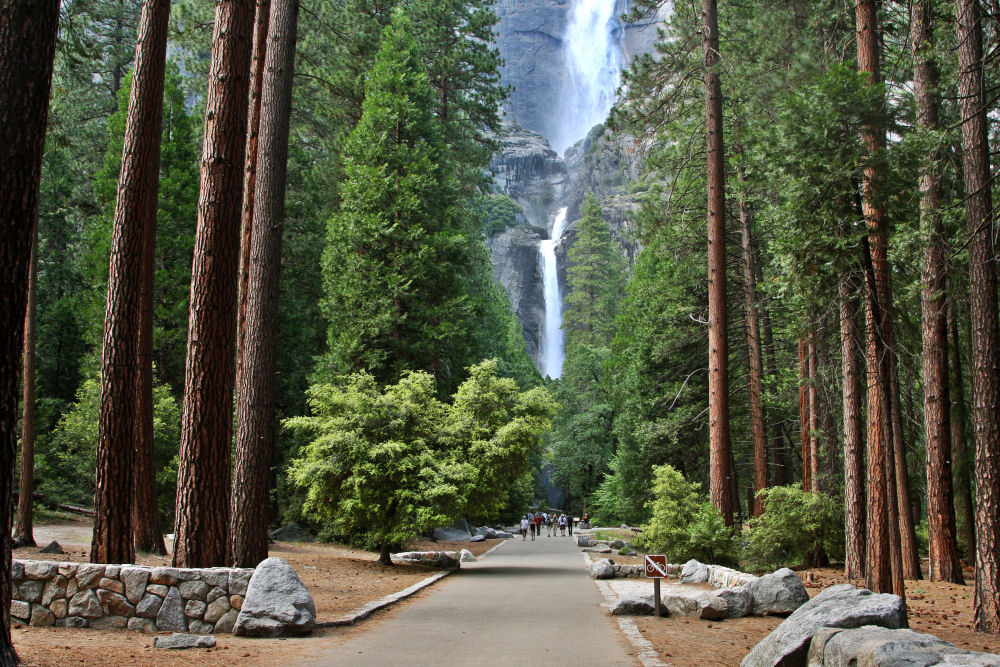 Lower Yosemite Falls - Yosemite Hikes