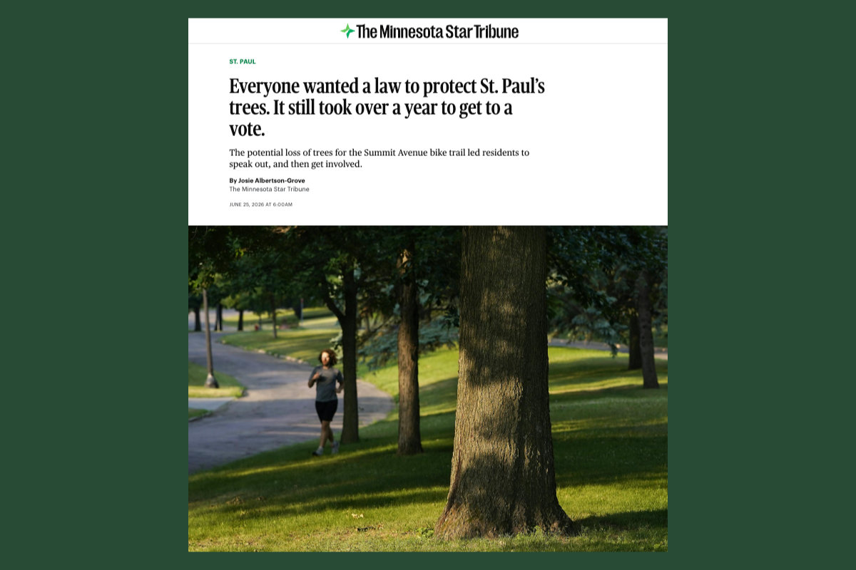 Everyone Wanted a Law to Protect St. Paul's Trees. It Still Took Over a Year to Get to a Vote.