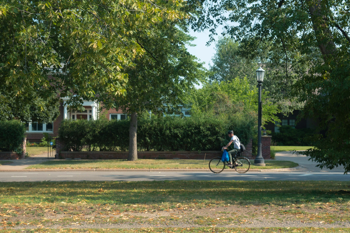 Critics, fans burrow into St. Paul’s proposed tree preservation ordinance