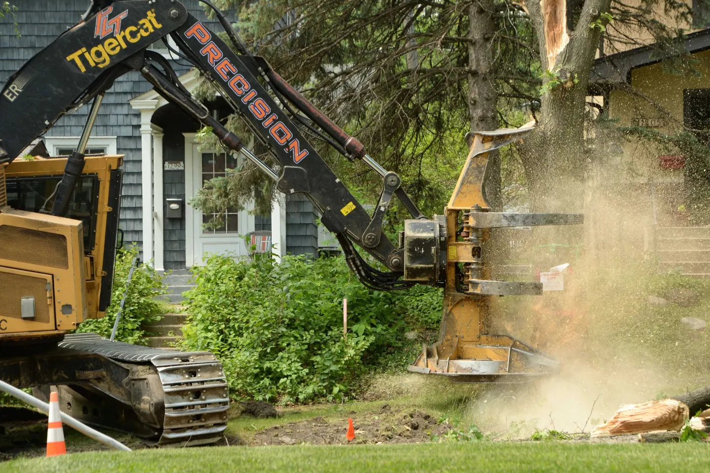 St. Paul City Council passes tree preservation measure. Here’s what it does.