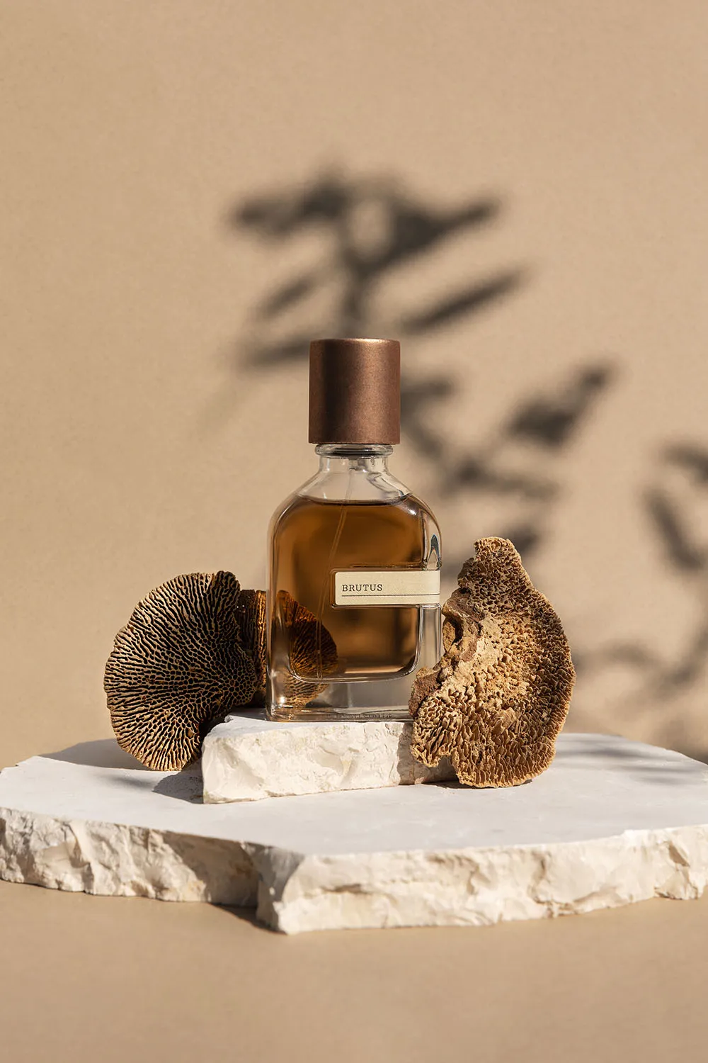 Photo commerciale still life parfum haut de gamme, mise en scène avec vegetaux sécher et pierre brute.