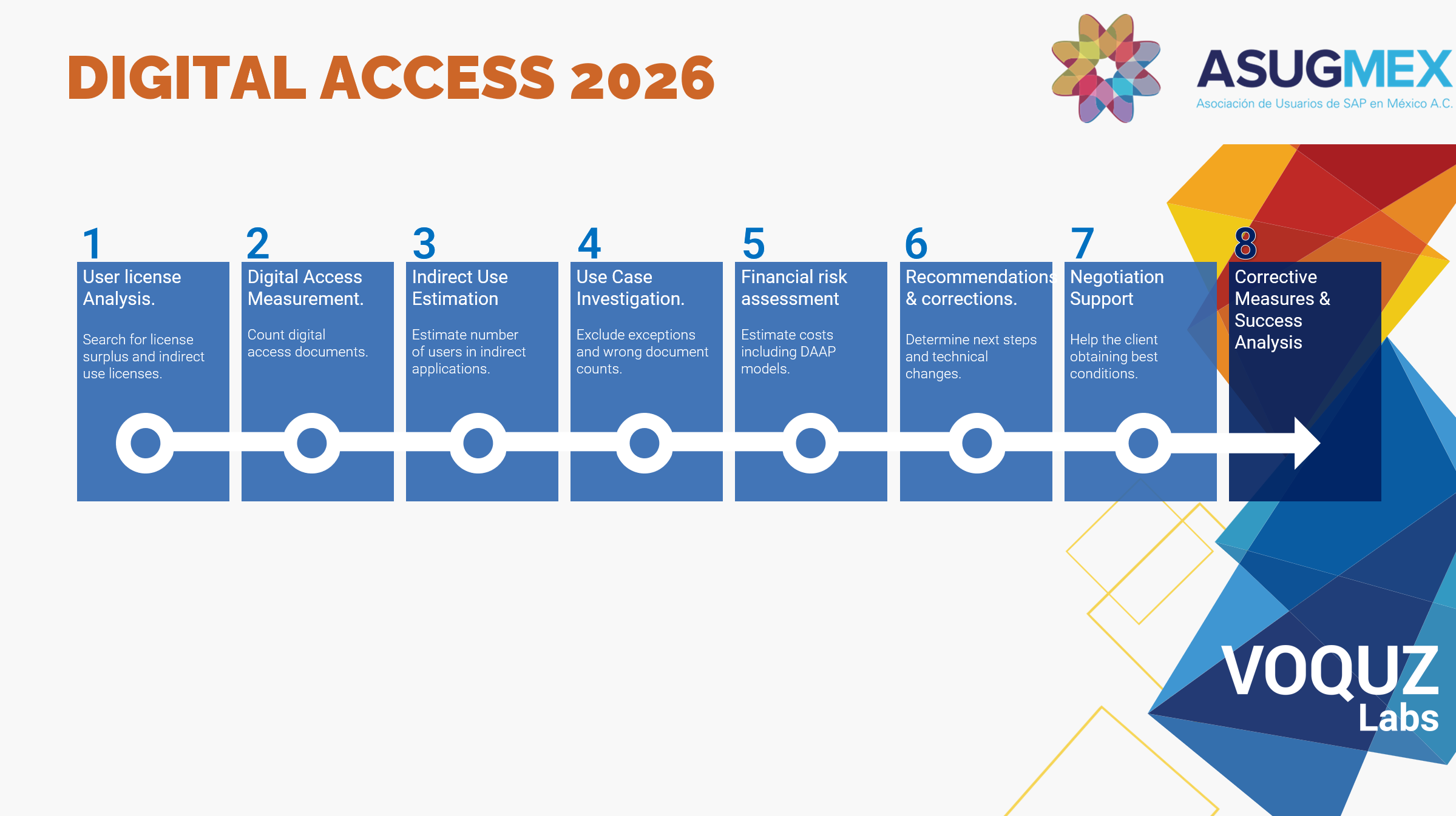 Flowchart showing eight steps of digital access process from user license analysis to corrective measures and analysis with logos of ASUGMEX and VOQUZ Labs
