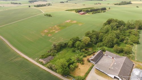 Markvandring i projekt Agerlandets fugle