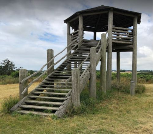 Forpagtning af arealer til slæt