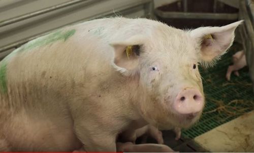 Ansøgningsrunden for Miljø- og klimateknologi 2023 åbner i dag