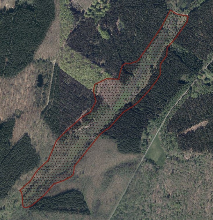 Genudbud af græsning i Sdr. Borgedal