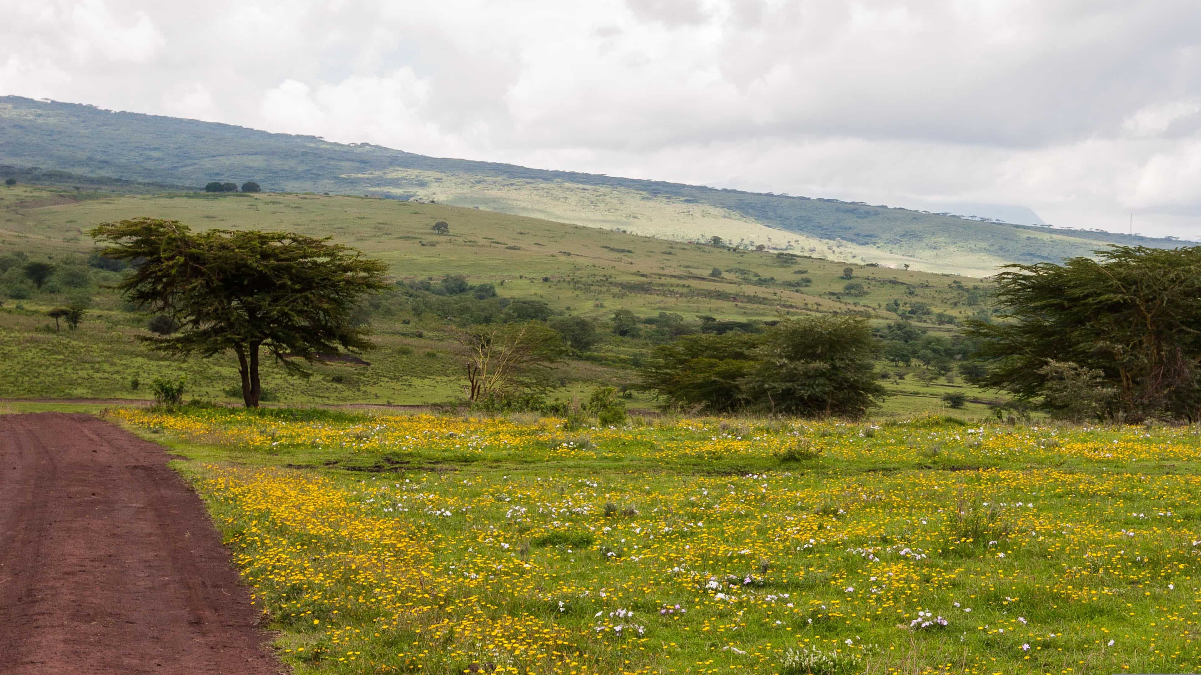 Ngorongoro landscape