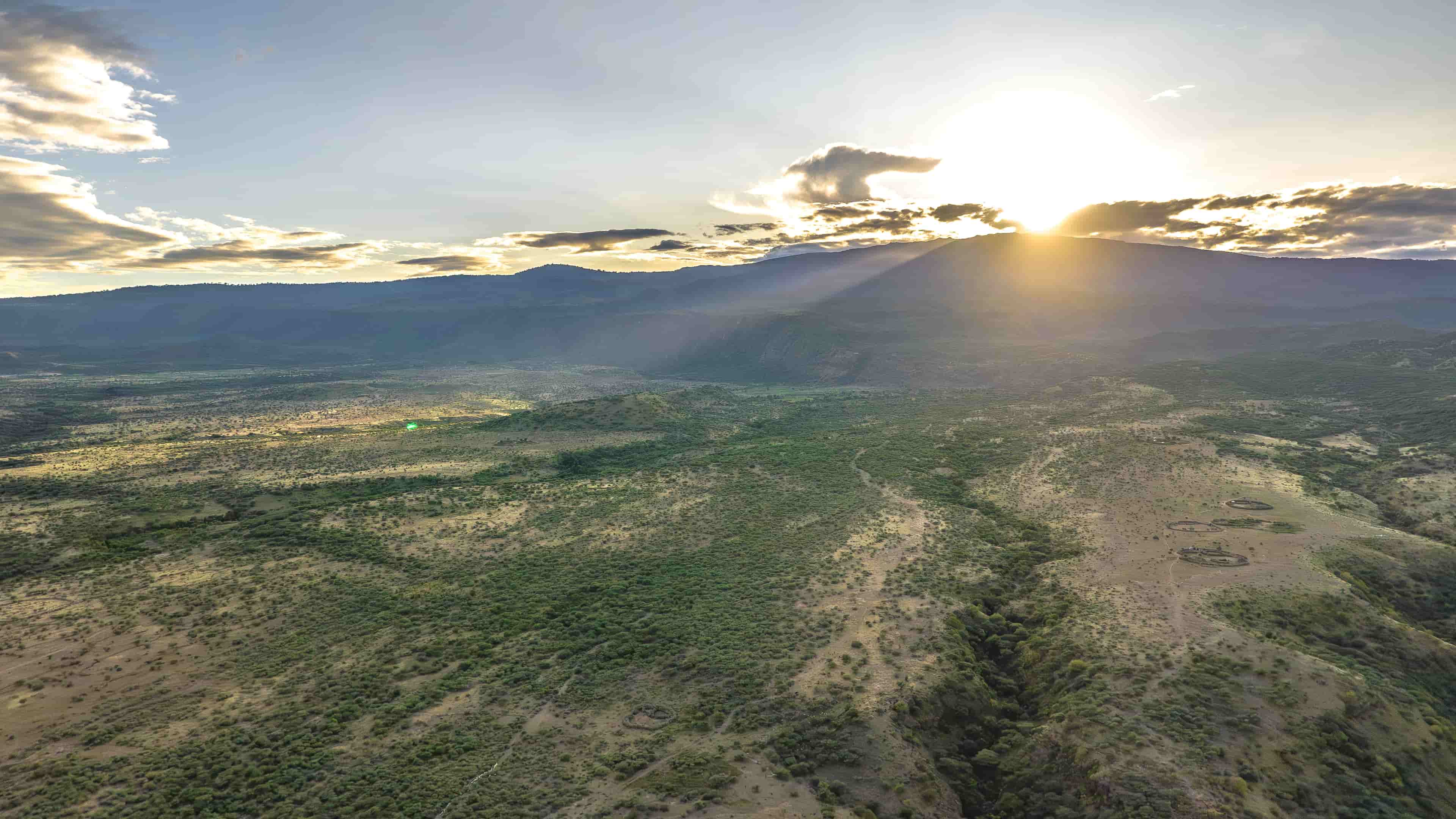 Sunset over the savanna