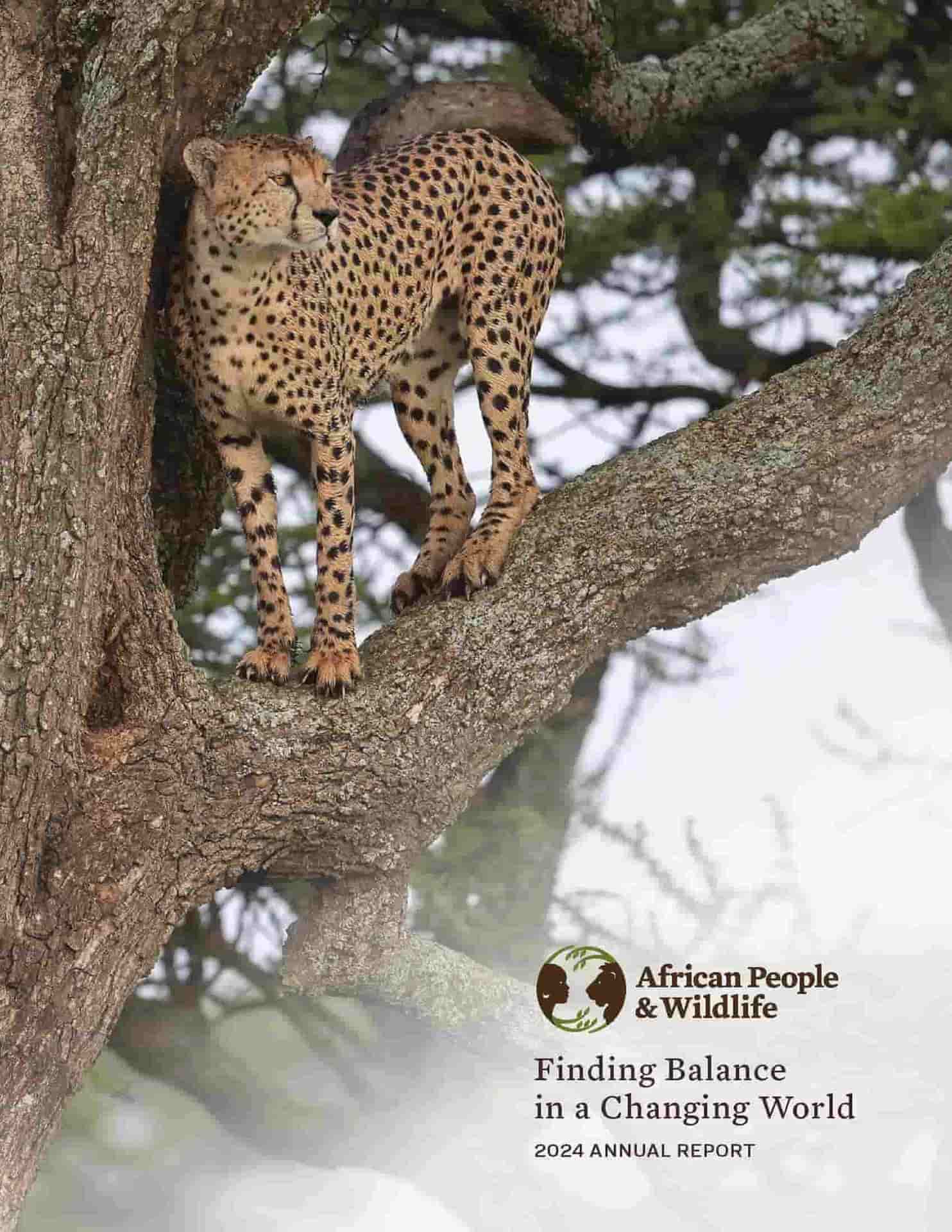 APW 2024 Annual Report Cover