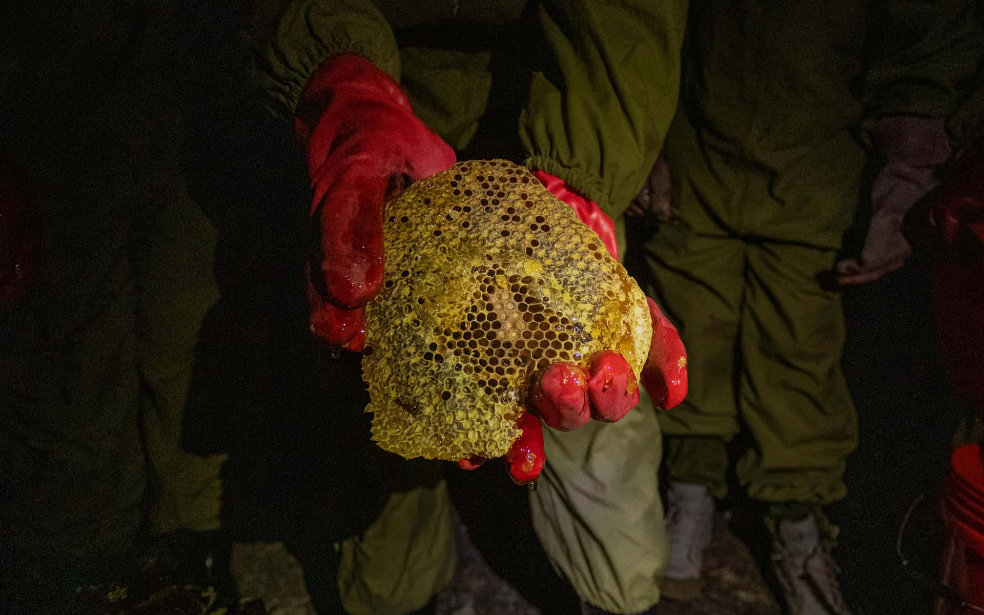 Queen Bees refresh their harvesting skills