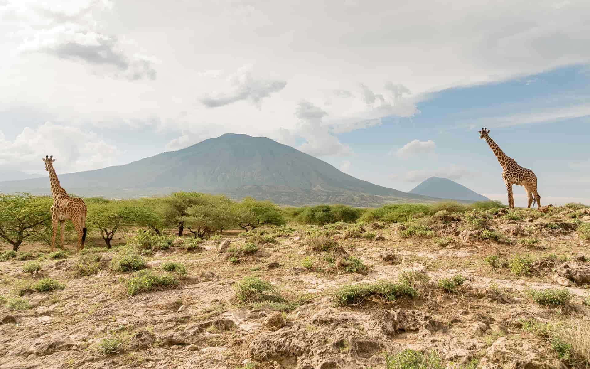 Sentinels of Engaruka