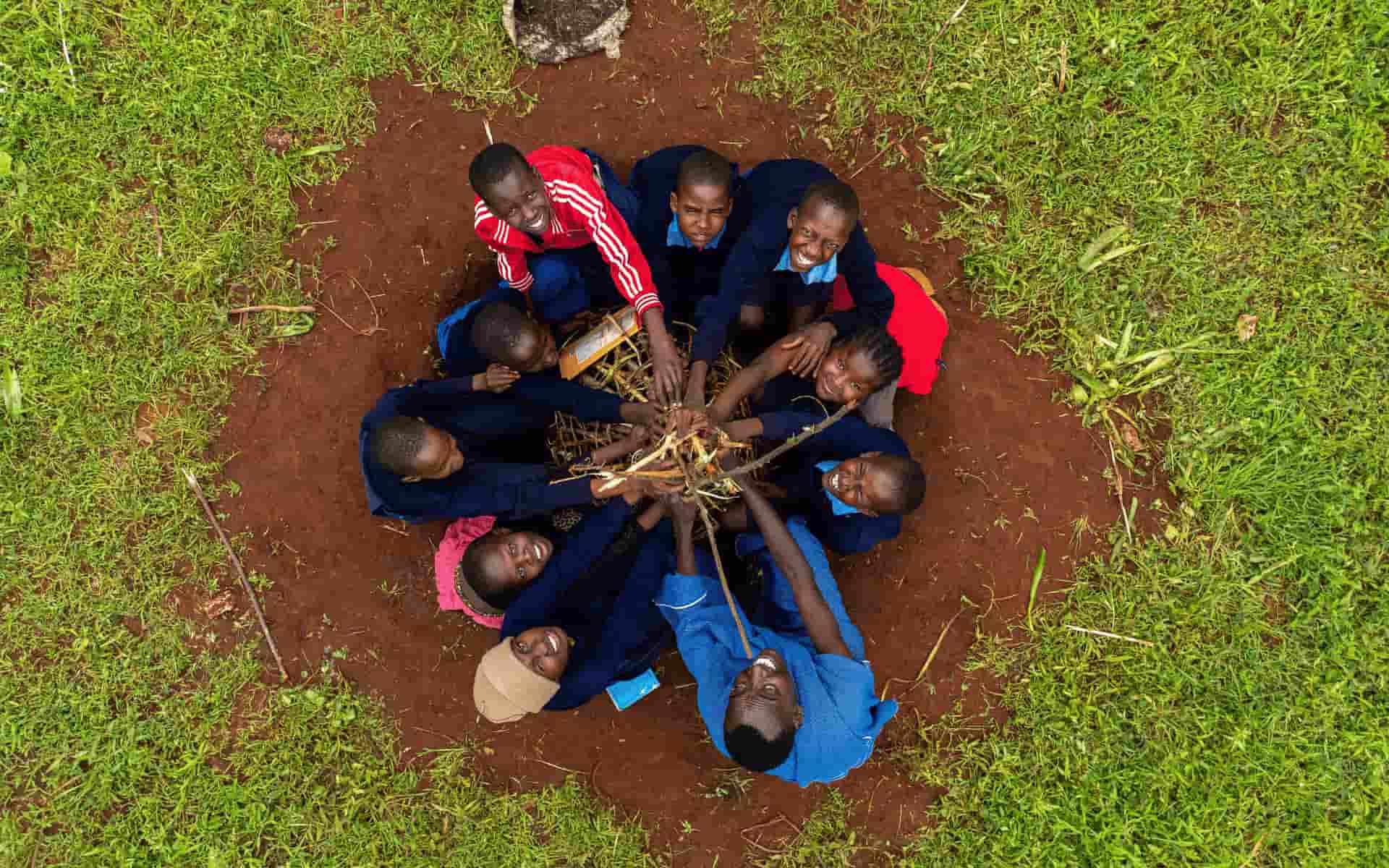 School tree planting