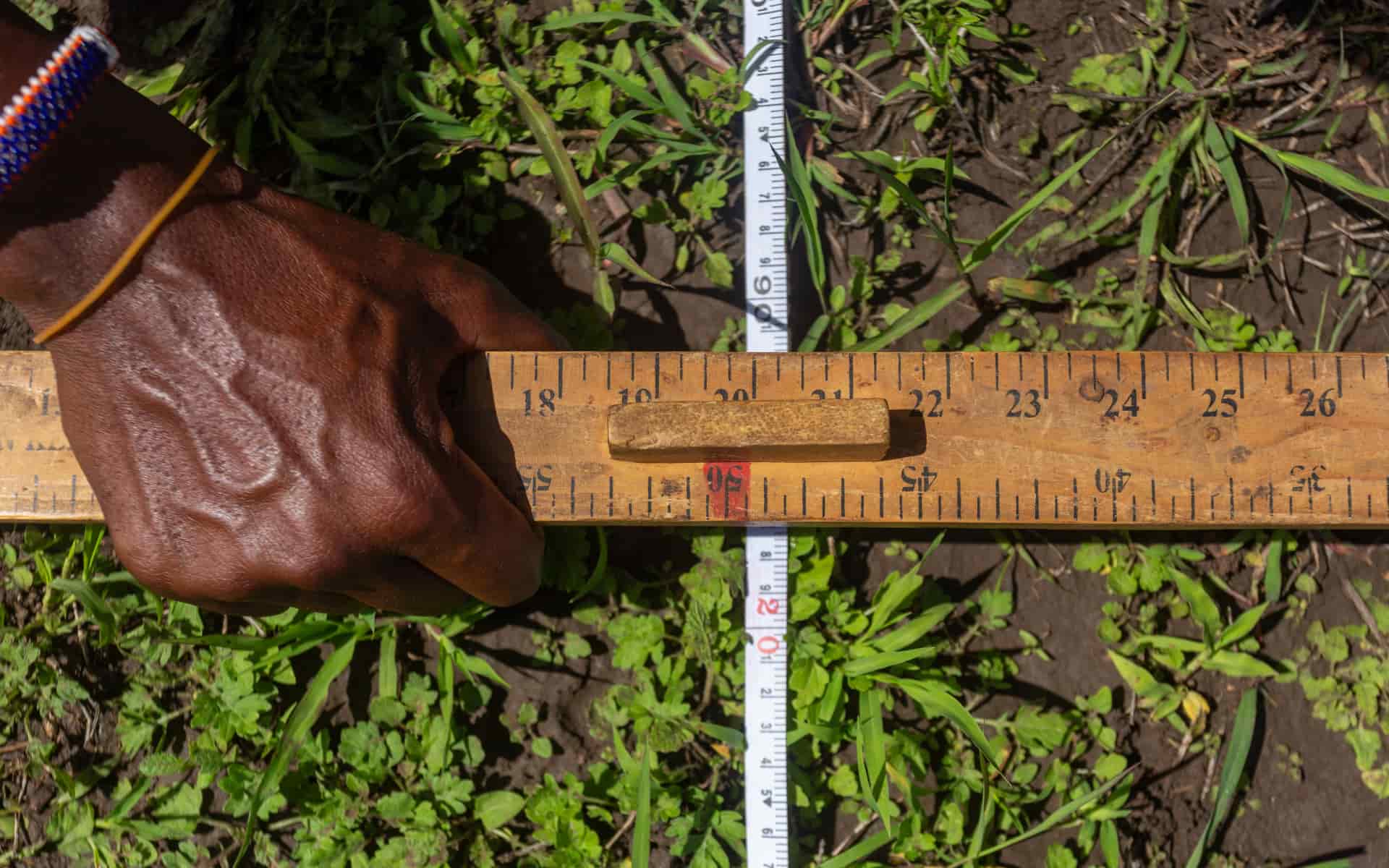 Monitoring rangeland health in Tanzania