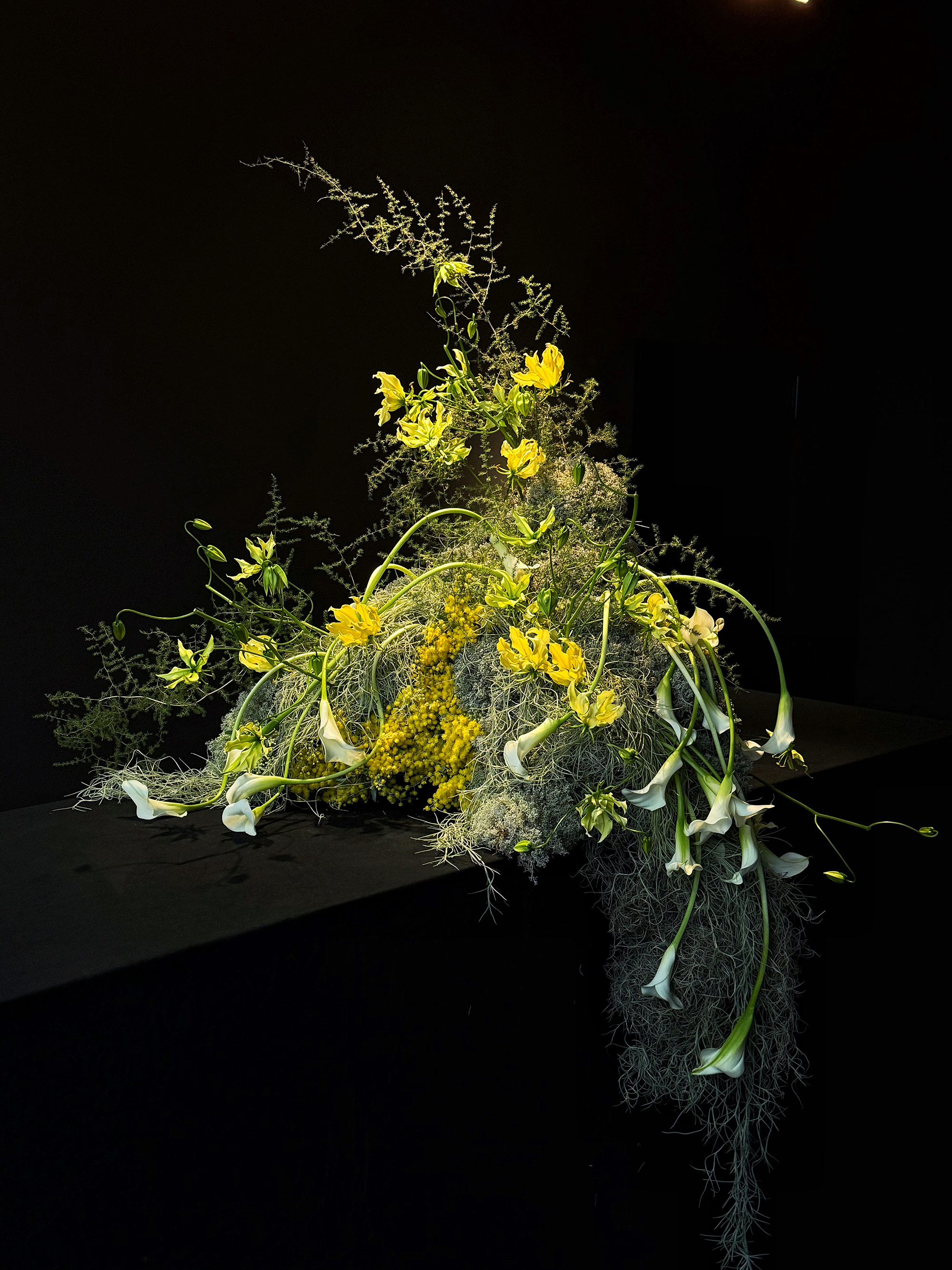 Birte - Personal Work black