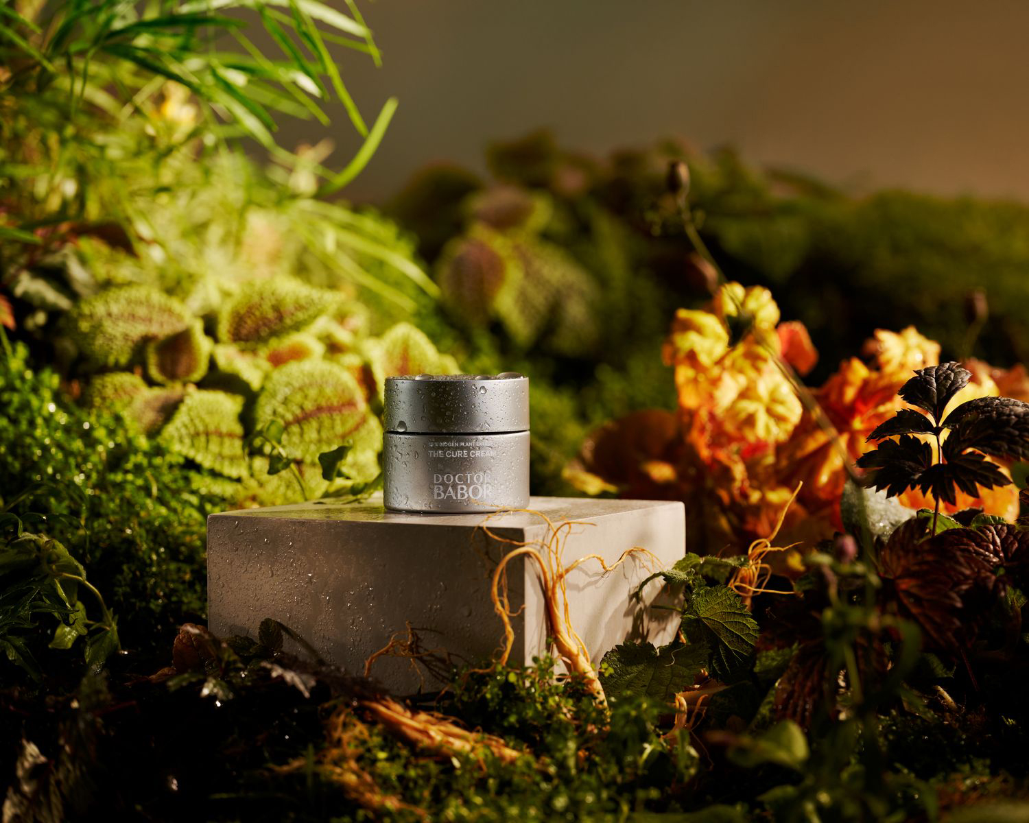 Birte - Senger Babor