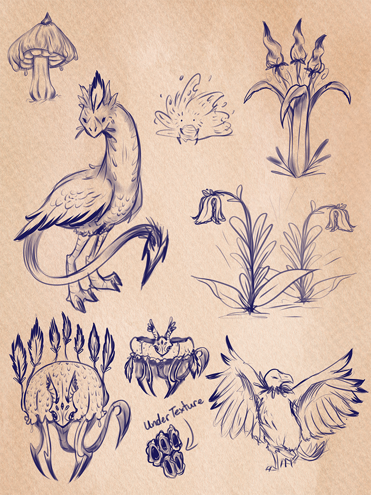 A creature sketch page. 