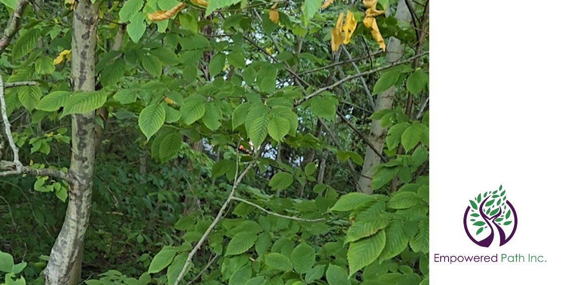 Flickering flames and smoke peak out behind a wall of green trees.