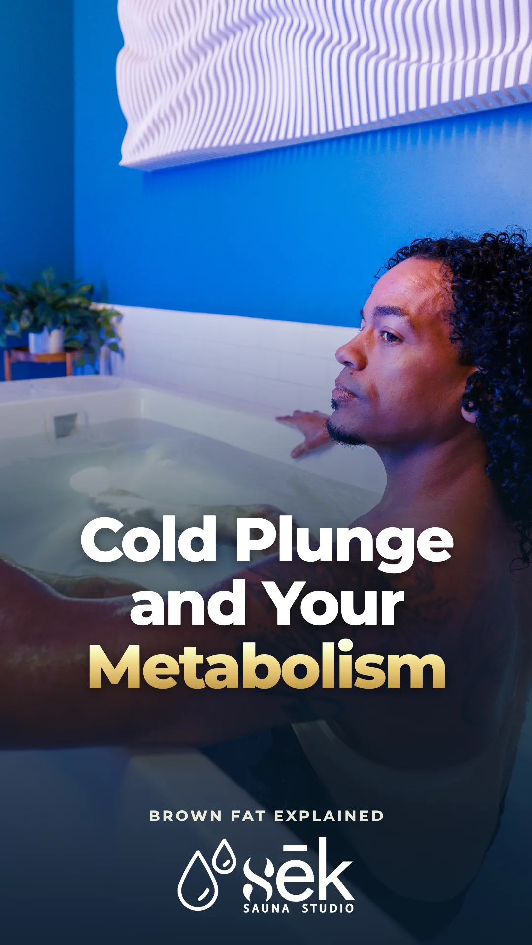 Cold plunge tub in a private room at sēk Sauna Studio in Franklin, TN, with the title Cold Plunge and Your Metabolism.