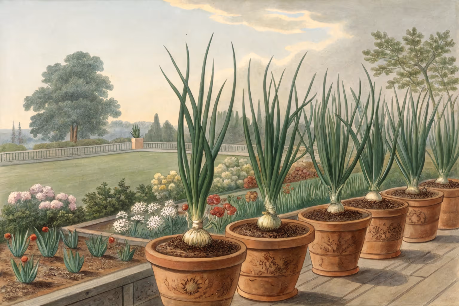 Onions growing in a container garden.