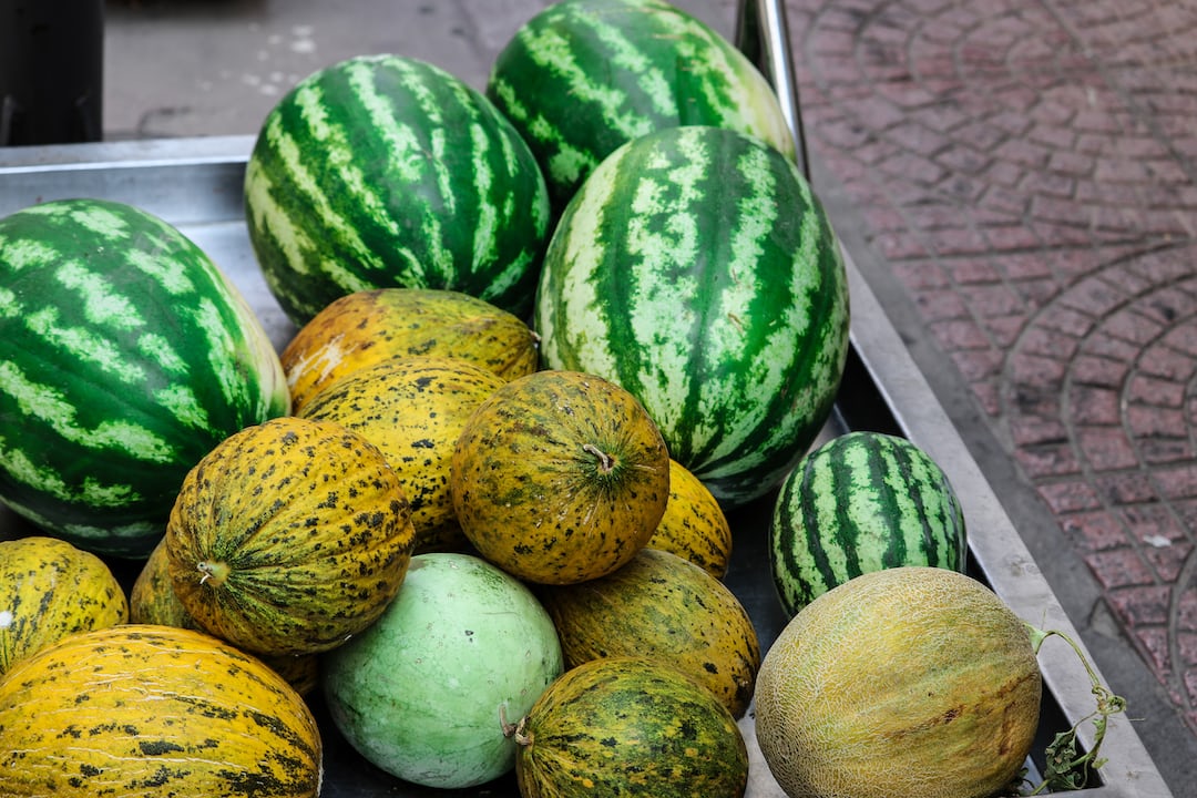 Citron melon growing in a garden.