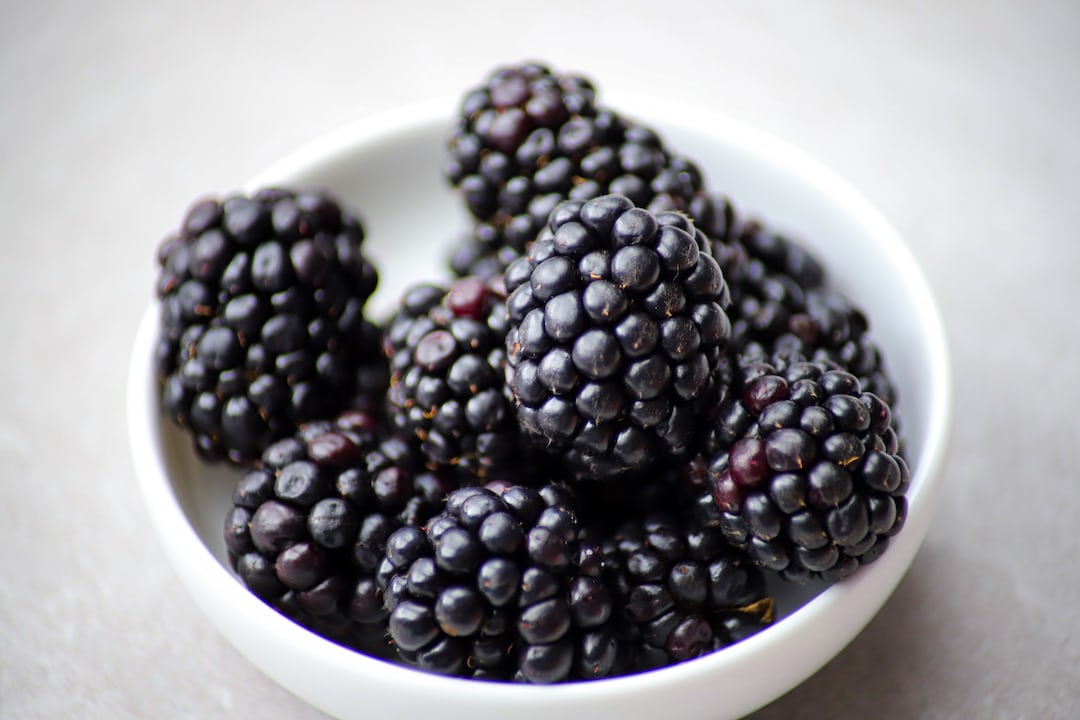 Blackberries growing on a bush.