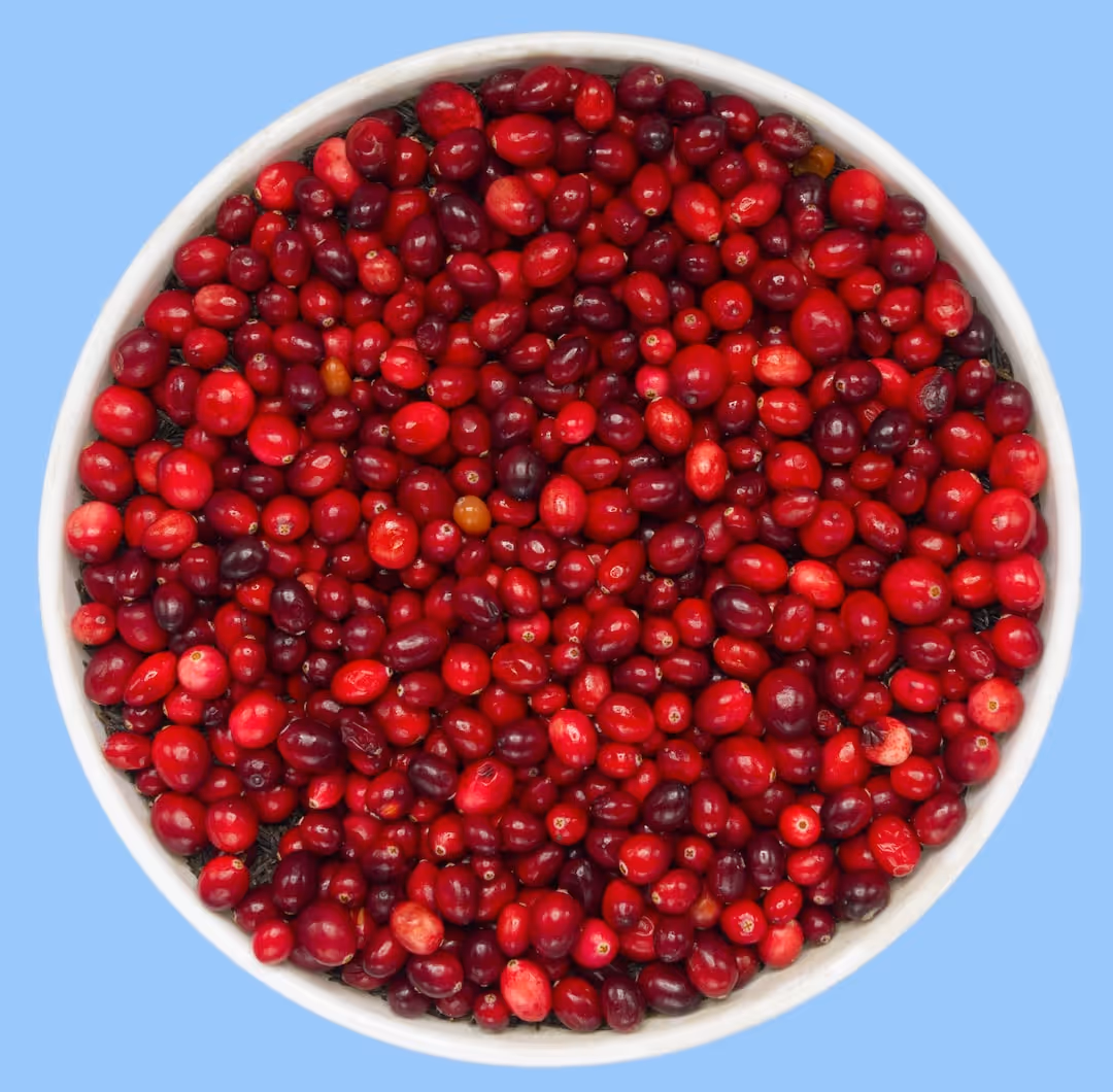 Cranberries growing on a plant.