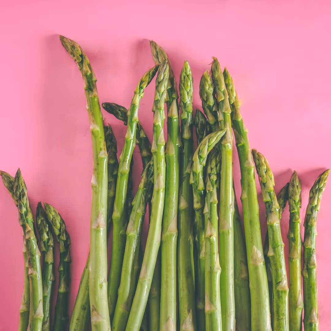 Asparagus spears growing in garden soil.