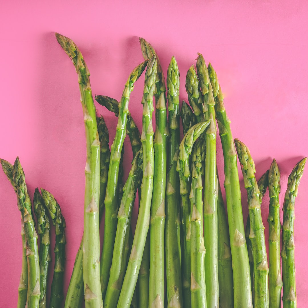 Asparagus spears growing in garden soil.