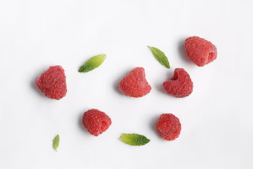 Ripe raspberries growing on a plant in a garden.