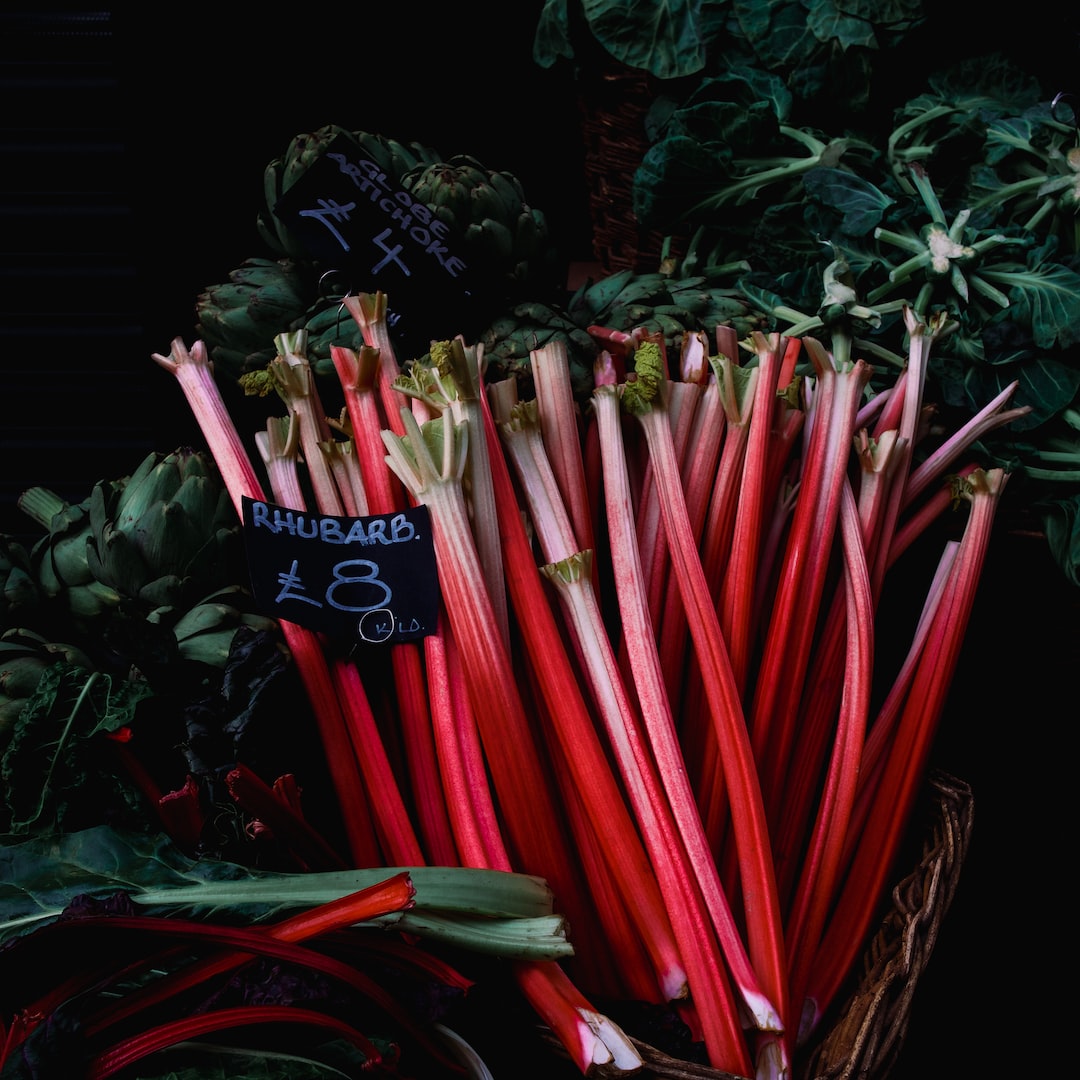 Healthy rhubarb stalks growing in a garden.