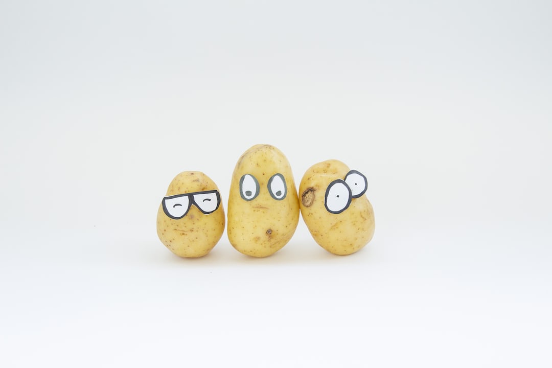 Potato plants growing in garden soil.