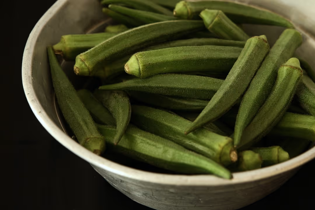 Okra plants growing in a garden.