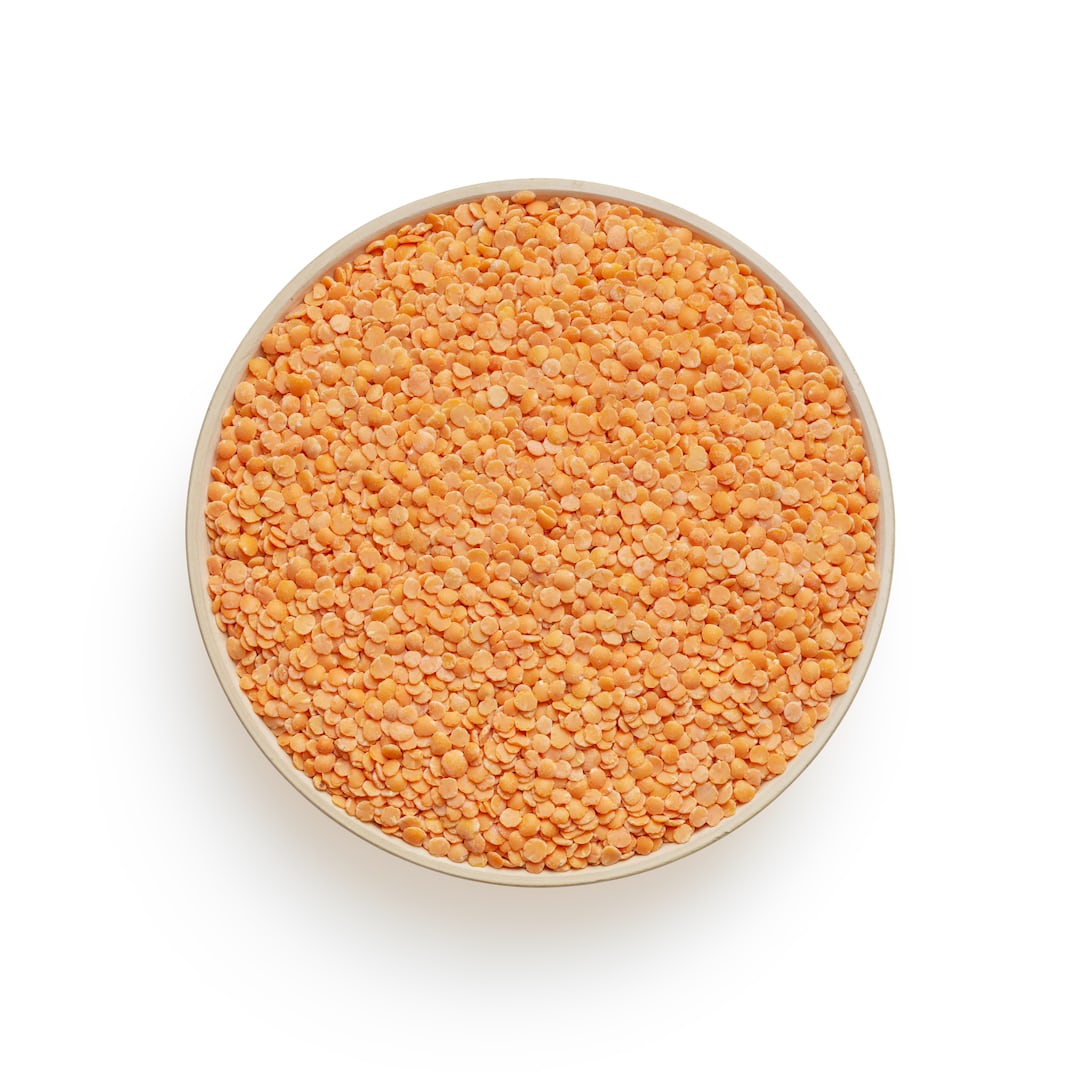 Green lentil plants growing in garden soil.