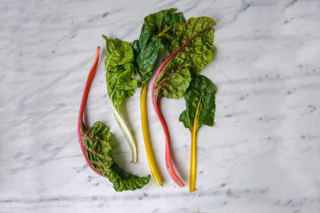 Healthy chard plants growing in a garden.