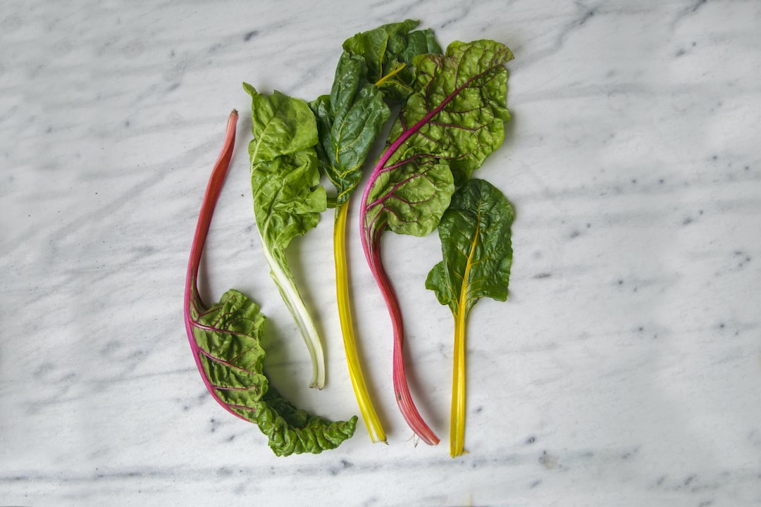 Healthy chard plants growing in a garden.