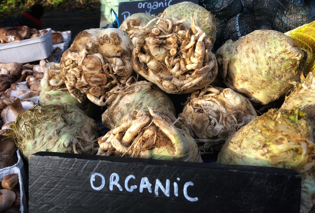 Celeriac plant growing in garden soil.