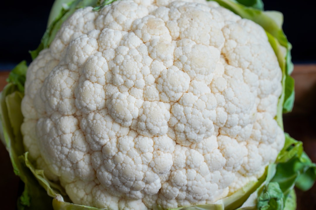 Healthy cauliflower plant growing in a garden.