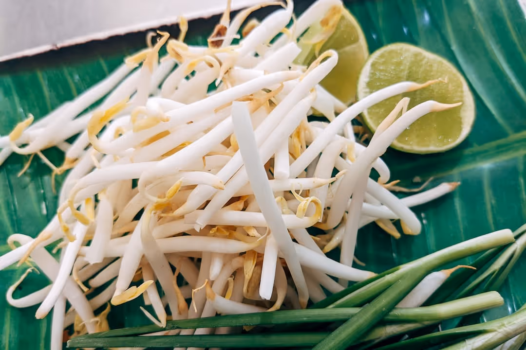 Fresh bean sprouts growing in soil.
