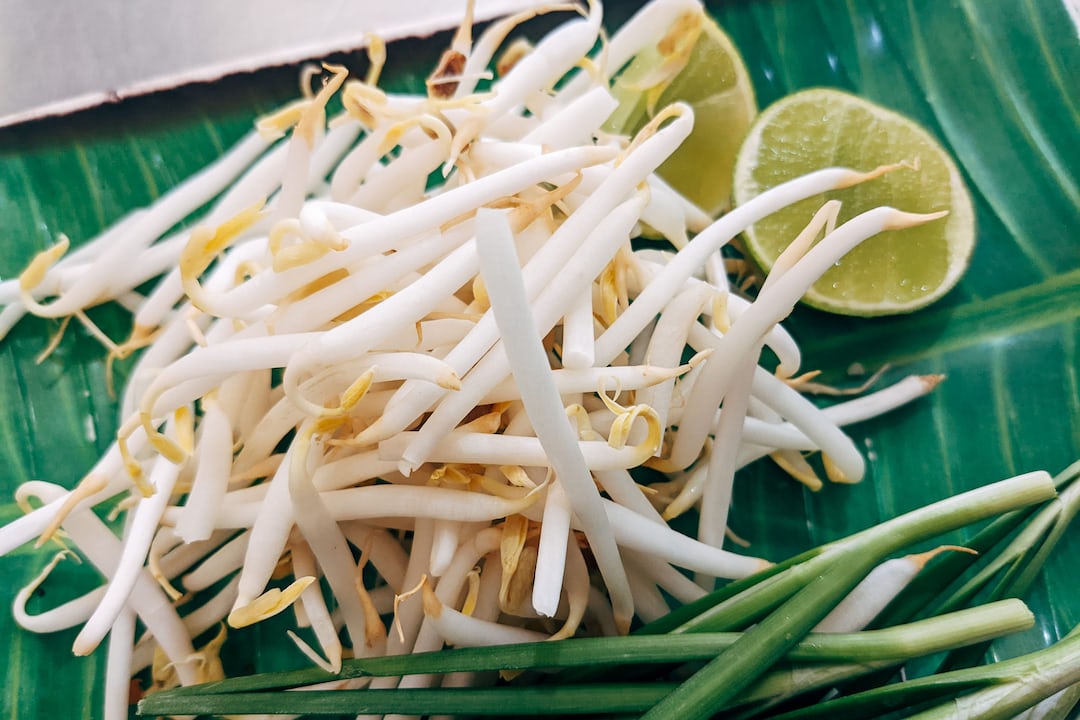 Fresh bean sprouts growing in soil.