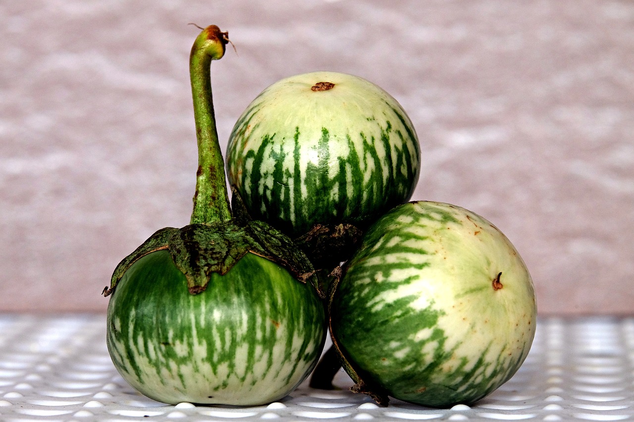 Thai eggplant growing on the plant.