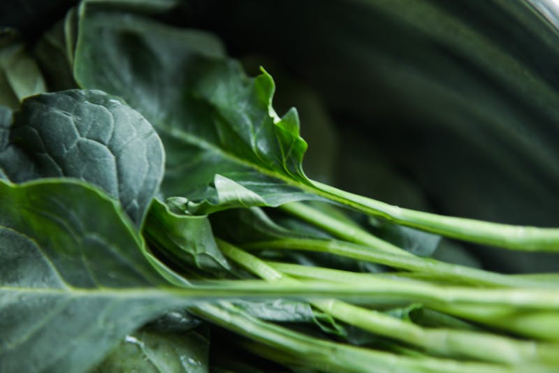 Collard greens growing in a garden.